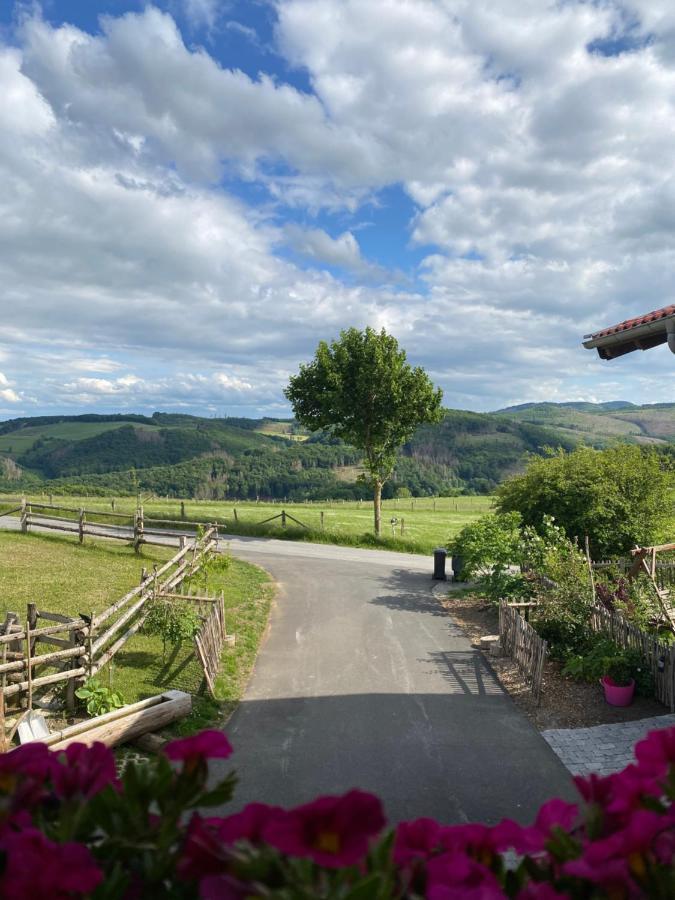 Chalet Bergliebe 브릴온 외부 사진